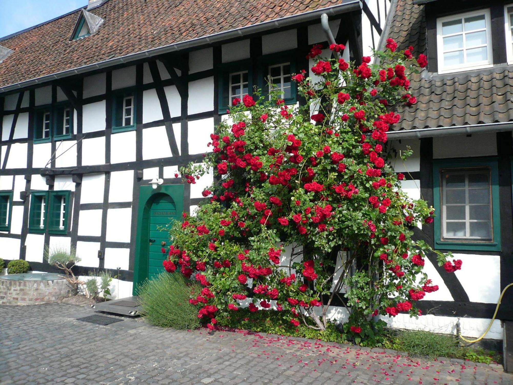 Falderhof Cologne Exterior photo